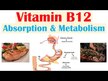 Відео огляд на Vegan Methyl B-12, Метил B-12 Лимон 1000 мкг, 100 пастилок