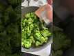 Відео огляд на NOW, Real Food Broccoli Seeds, Екстракт Броколі, 113 г