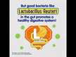 Відео огляд на Vitamatic, Lactobacillus Reuteri, Лактобактерії Реутері, 100 г
