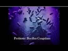 Пробиотики 5 миллиардов, Bacillus Coagulans 5 Billion, 60 капсул