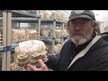 Відео огляд на Turkey Tail 550 mg, Хвіст Індички, 60 капсул