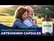 Видео обзор на Zazzee, Артемизинин, Artemisinin Plus BioPerine, 120 капсул