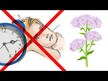 Відео огляд на Sleep Relax with Valerian & Hops, Валеріана та Хміль, 90 капс