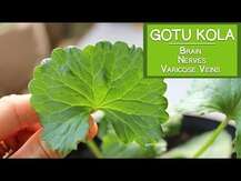 Nature's Way, Готу Кола 475 мг, Gotu Kola Herb 475 mg, 180 капсул