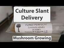 Host Defense Mushrooms, Myco Botanicals Brain Energy