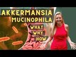 Відео огляд на Akkermansia Muciniphila 300 Billion AFU, Аккермансія, 60 капсул