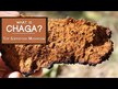 Відео огляд на Host Defense Mushrooms, Chaga, Гриби Чага, 120 капсул