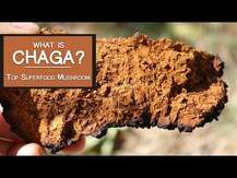 Host Defense Mushrooms, Chaga Inonotus obliquus