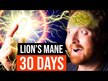 Відео огляд на Lion's Mane, Гриби Левова Грива, 30 капсул