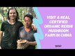 Видео обзор на Om Mushroom Superfood, Грибы Рейши, Mushroom Powder Reishi, 200 г