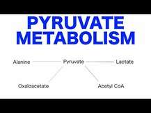 Now Foods, Pyruvate 600 mg