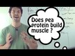 Відео огляд на Source Naturals, Pea Protein, Гороховий протеїн, 907 г