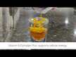 Відео огляд на Lypo-Spheric Magnesium L-Threonate, Магній Треонат, 30 шт