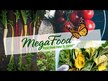 Відео огляд на MegaFood, Zinc Promotes Immune Health, Цинк, 60 таблеток