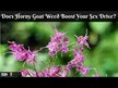 Відео огляд на Zhou Nutrition, Horny Goat Weed, Горянка, 60 капсул