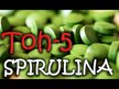 Відео огляд на NOW, Inulin Prebiotic Pure Powder, FOS Інулін в порошоку, 227 г