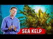 Відео огляд на Dr. Berg, Sea Kelp Enhanced Iodine, Ламінария, 90 капсул