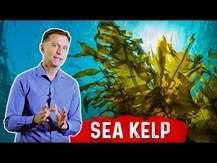 Dr. Berg, Sea Kelp Enhanced Iodine Thyroid & Hormone Support