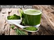 Відео огляд на Vimergy, Barley Grass Juice Powder, Ячмінь, 250 г