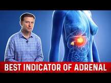 Dr. Berg, Adrenal & Cortisol Support