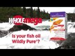 Видео обзор на Рыбий жир c Лосося 1000 мг, Wholemega Fish Oil, 180 капсул