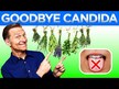 Відео огляд на Healths Harmony, Candida Complex, Підтримка Кандиди, 120 капсул