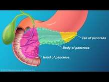 Pancreas Natural Glandular, Підтримка підшлункової залози, 60 ...