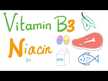 Відео огляд на Solgar, Niacin Vitamin B3, Ніацин 100 мг, 100 таблеток