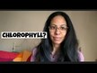 Відео огляд на NOW, Chlorophyll 100 mg, Хлорофіл 100 мг, 90 капсул
