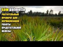 Saw Palmetto, Екстракт Пальметто 320 мг, 180 капсул