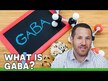 Відео огляд на Kirkman, GABA 250 mg, ГАМК 250 мг, 150 капсул
