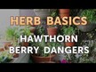 Відео огляд на Hawthorn Berry Heart Syrup, Глід, 472 мл