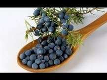 Жожжевельник 425 мг Ягоды, Juniper Berries, 100 капсул