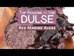 Відео огляд на Vitamin Sea, Dulse Flakes, Водорості Дульсе, 114 г