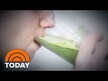 Відео огляд на Jurassic Green Nutritious Powder, Люцерна, 118 мл