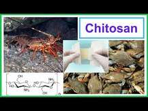 Nutricology, MicroChitosan