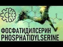 Phosphatidyl Serine Matrix 500 mg, Фосфатидилсерин 500 мг, 60 ...