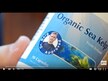 Відео огляд на Natures Life, Icelandic Kelp, Ісландські водорості, 500 таблеток