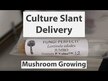 Відео огляд на Host Defense Mushrooms, Maitake, Гриби Майтаке, 60 капсул