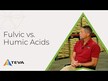 Відео огляд на 77 Trace Minerals, Фульвові та Гумінові кислоти, 50 мл
