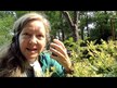 Відео огляд на Eclectic Herb, Collinsonia Stone Root, Коллінзонія, 60 мл
