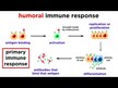 Відео огляд на Immune Defense Vitamin C + Elderberry, Добавка для імунітету, 30 