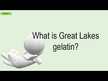 Відео огляд на Great Lakes Wellness, Collagen, Колаген, 454 г