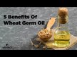 Відео огляд на NOW, Wheat Germ Oil, Олія із зародків пшениці 1130 мг, 100 капсул