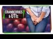 Відео огляд на Cranberry Plus Probiotic, Журавлина з пробіотиками, 60 таблеток