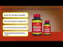 Nutrex Hawaii, Turmericastin BioAstin Hawaiian Astaxanthin