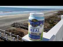 RAW Organic Meal Organic Shake & Meal Replacement Lightly ...