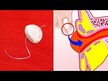Відео огляд на Nature's Way, Garlicin Cardio, Часник без запаху, 180 таблет