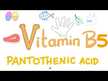 Відео огляд на Pantothenic Acid Vitamin, Вітамін B5 Пантотенова кислота, 100 кап