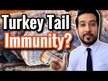 Відео огляд на Turkey Tail Immune Defense Power, Хвіст Індички, 200 г
